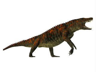 Fototapeta premium Uberabasuchus Side Profile - Uberabasuchus was an archosaur carnivorous crocodile that lived in the Cretaceous Period of Brazil.