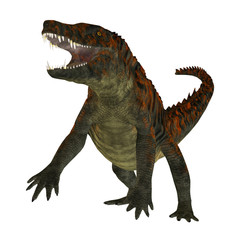 Uberabasuchus on White - Uberabasuchus was an archosaur carnivorous crocodile that lived in the Cretaceous Period of Brazil.