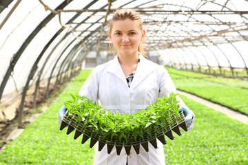 Female farmer working in large greenhouse