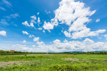 Rice Fields before farming with blue sky