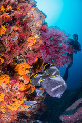 Fototapety na wymiar - Fototapeta24.pl