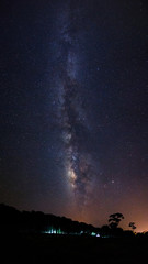 Fototapeta na wymiar Silhouette of Tree and Milky Way at Phu Hin Rong Kla National Pa