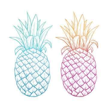 Colorful Pineapple With Line Art or Sketchy Style