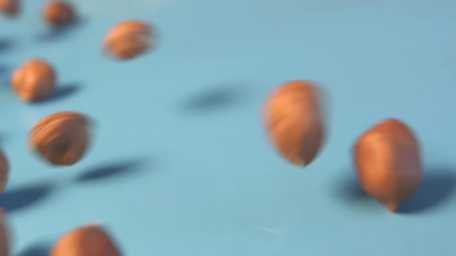 Hazelnuts on a blue background. 2 Shots. Slow motion. Vertical pan. Close-up.