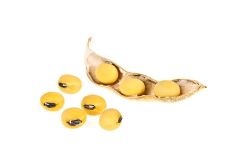 Soy pods isolated on white background