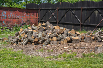 A pile of firewood in the yard.