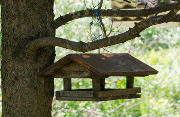 Bird Feeders With Triangular Roof In A Wood. On A Branch.