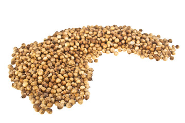Coriander seeds isolated on white background
