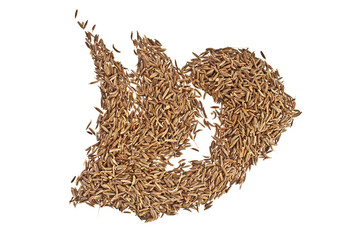 Cumin seeds or caraway isolated on white background