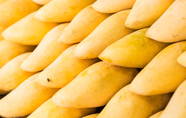 Fresh yellow mango