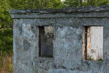 Abandoned building in the woods. Closeup.