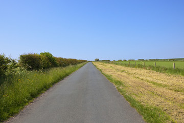 Fototapeta na wymiar small rural road in summer