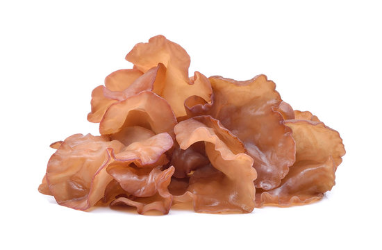 Jew's Ear Mushroom On White Background