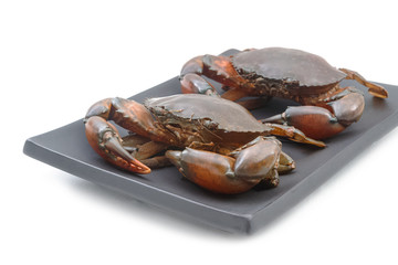 Fresh crabs isolated on white background