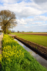 Colorful flat agricultural landscape in the spring season
