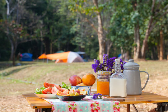 picnic, picnic set with orange juice fruit and vegetable at outdoor camping