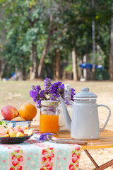 picnic, picnic set with orange juice fruit and vegetable at outdoor camping