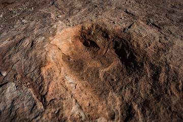 Dinosaur Tracks