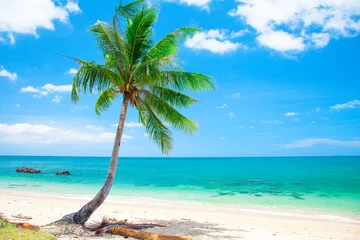 Wall murals Tropical beach tropical beach with coconut palm