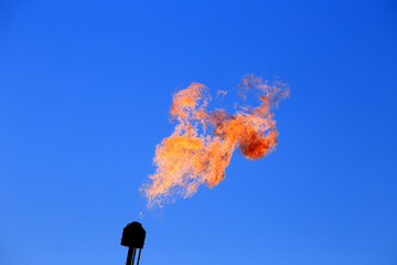 burning torch