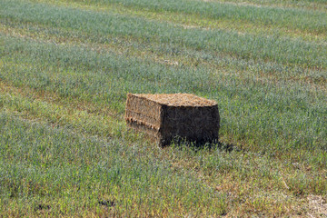 bale of straw
