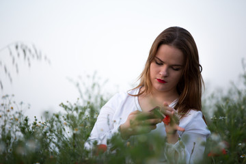 Naklejka premium flowers