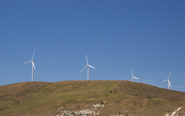windmills 