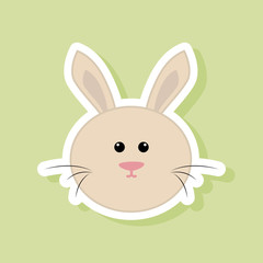 Cute rabbit Face