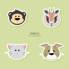 Cute Animals Faces