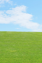 青空と草原　Green field and Blue sky