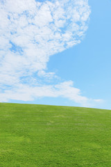 青空と草原　Green field and Blue sky