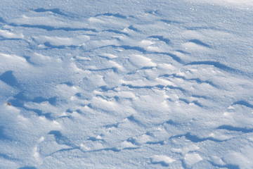 shadows on the snow