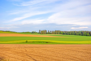 Obraz premium Farmland - brown fields, green meadow