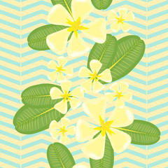 Fototapeta na wymiar Geometric ornamental background with plumeria flowers and leaves. Frangipani tropical vector seamless pattern. Summer floral decor of plumeria. 