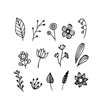 Vector of hand draw of flower and plant 