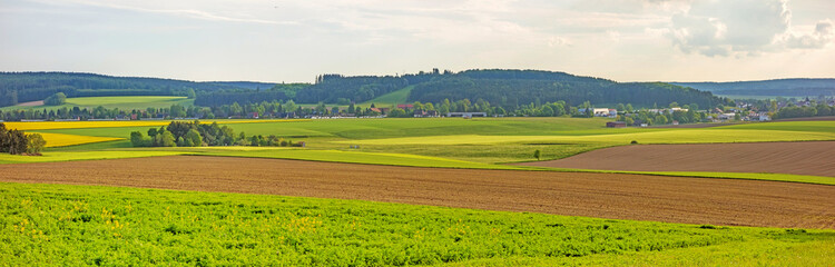 Fototapeta na wymiar Farmland panorama