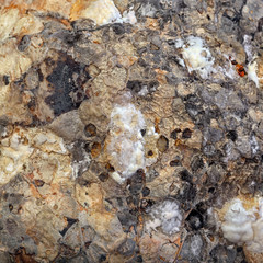 texture mold