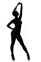 Obraz na płótnie Canvas silhouette slender girl