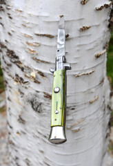 Messer steckt in Baum