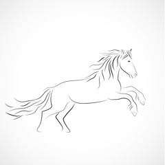 silhouette cheval