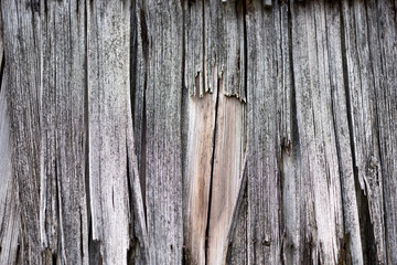 Obsolete wood planks from an old house roof
