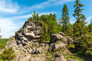 Wąwóz Homole - Pieniny © kabat