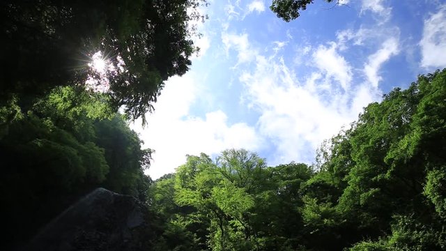 青空と滝と新緑（愛媛県白猪の滝）／フィックス