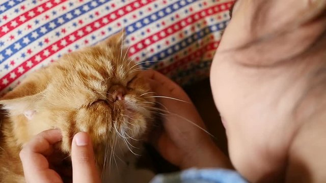 Slow motion of Lovely Asian girl plays with her tabby Persian cat, Pan shot