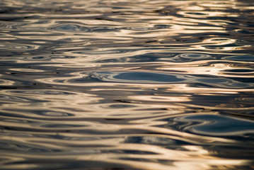 Water ripple background, Shot against sunset light. Shallow depth of field