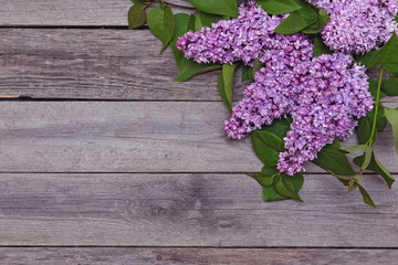 Lilac branch on a wooden background