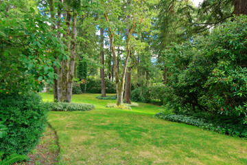 Fototapeta na wymiar Amazing farm house backyard with green lawn, fir trees, bushes
