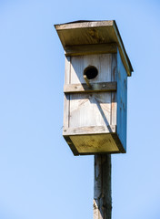 wooden birdhouse