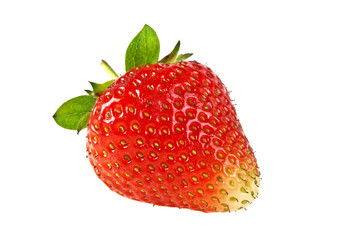 Garden strawberry isolated on white background