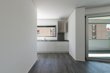 Fototapeta na wymiar Interior, wide room with domestic kitchen